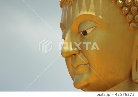 Buddha statue 42576273