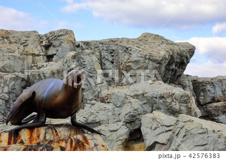 うみたまごのトド うみたまごのトド 42576383