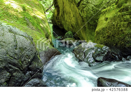 ゴルジュの流れ 42576388