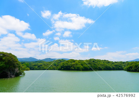 篠栗九大の森から見る夏空【福岡県】 42576992