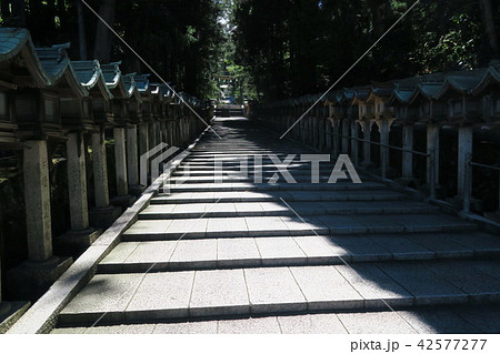 【近畿三十六不動霊場】第二十九番　生駒聖天宝山寺の参道　奈良県生駒市 42577277