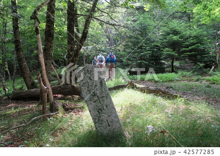 【世界遺産 紀伊山地の霊場と参詣道】大峯奥駈道 大峯山寺への道と丁石の夏の風景 奈良県吉野郡天川村 【世界遺産 紀伊山地の霊場と参詣道】大峯奥駈道 大峯山寺への道と丁石の夏の風景 奈良県吉野郡天川村 42577285