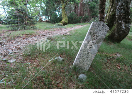 【世界遺産 紀伊山地の霊場と参詣道】大峯奥駈道　大峯山寺と小篠宿の道と丁石　奈良県吉野郡天川村 42577286