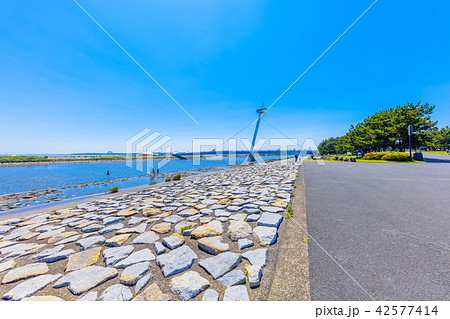 東京　夏の葛西臨海公園 42577414