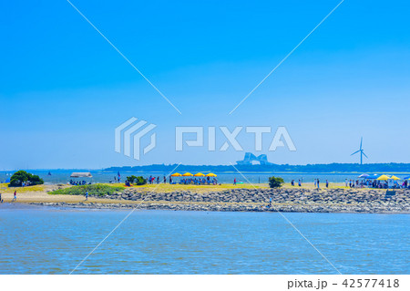 東京　夏の葛西臨海公園 42577418