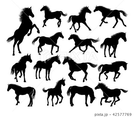 Horse Silhouettes Set 42577769
