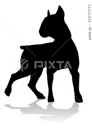 Dog Silhouette Pet Animal 42577771