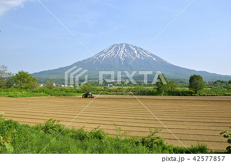 6月の羊蹄山 6月の羊蹄山 42577857