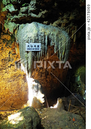 金武鍾乳洞の大仏天蓋 42578069