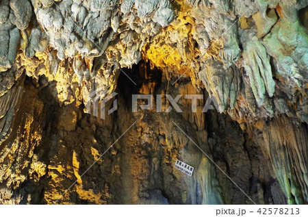 金武鍾乳洞 菩薩の昇天図 金武鍾乳洞 菩薩の昇天図 42578213