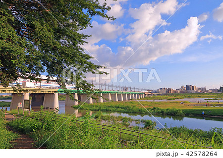 二子玉川の多摩川 42578264