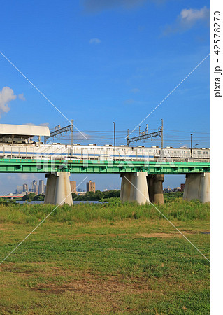 二子玉川の多摩川 二子玉川の多摩川 42578270