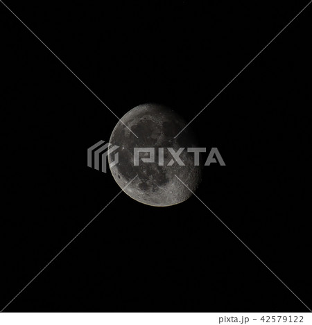 月（月齢18.0） 42579122
