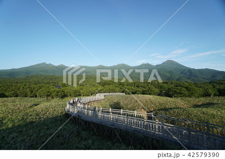 知床五湖　高架木道散策路 42579390