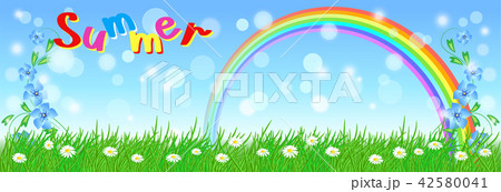 Rainbow in the sky and meadow flowers 42580041
