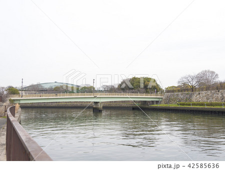 新鴫野橋と大阪城ホール（大阪市中央区） 42585636