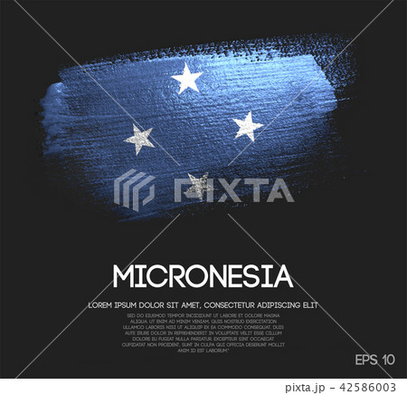 Federated States of Micronesia Flag Made of Brush 42586003
