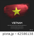 Vietnam Flag Made of Glitter Sparkle Brush Paint 42586138