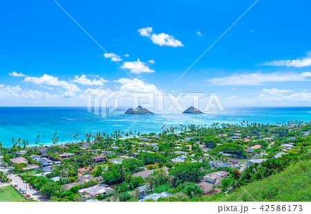 ハワイ オアフ島 ピルボックストレイルからの風景 ハワイ オアフ島 ピルボックストレイルからの風景 42586173