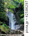 御手洗の滝 42586297