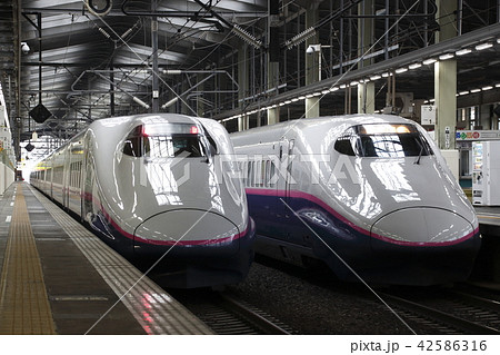 新潟駅に停車中の上越新幹線E2系 新潟駅に停車中の上越新幹線E2系 42586316