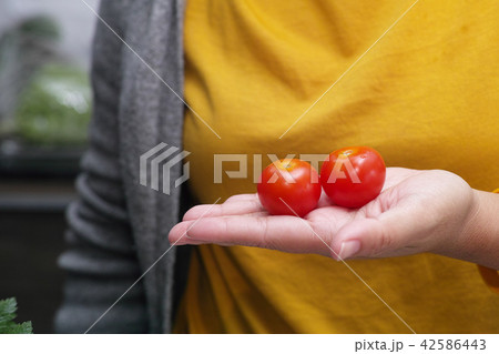 woman holding tomatoes in her hand in the kitchen 42586443