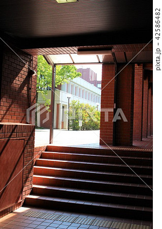 龍谷大学　深草学舎　5号館付近 42586482