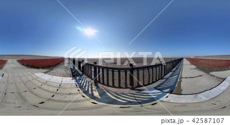 佐賀県佐賀市～東与賀海岸シチメンソウ群生地～ 42587107