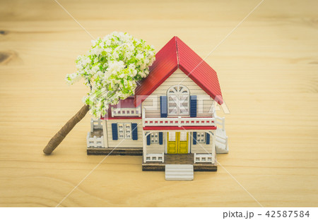 Fallen Tree on Left Home Insurance Concept Vintage 42587584