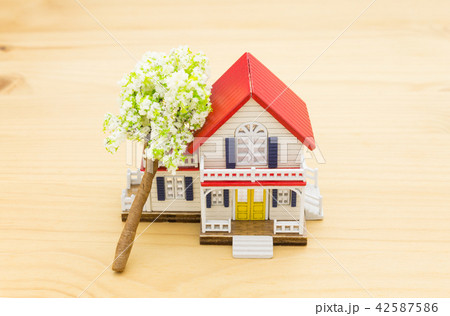 Fallen Tree Home Insurance Concept 42587586