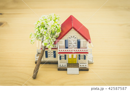 Fallen Tree Home Insurance Concept Vintage 42587587