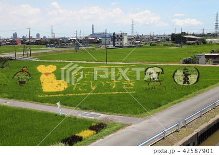 田んぼアート 42587901