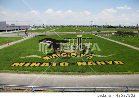 田んぼアート 42587902