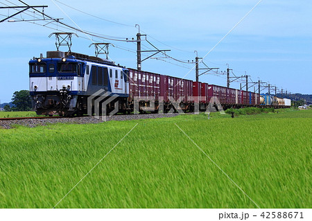 初夏の貨物列車 42588671