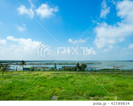 wetlands in Taiwan wetlands in Taiwan 42589834