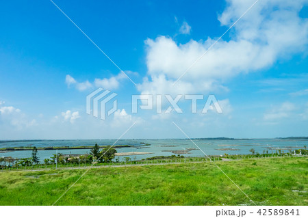 wetlands in Taiwan wetlands in Taiwan 42589841
