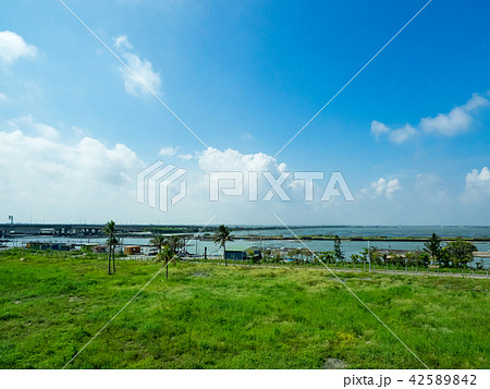 wetlands in Taiwan wetlands in Taiwan 42589842