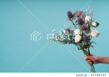 花 白 白色 42590193