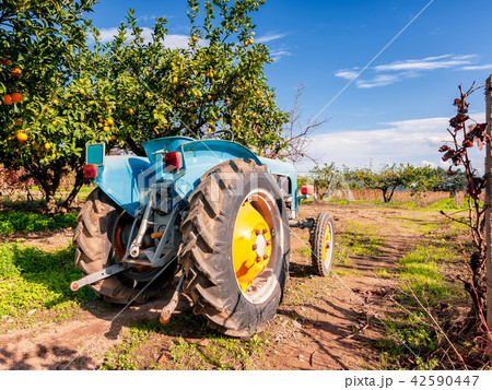 Old light blue tractor for agricultural crops Old light blue tractor for agricultural crops 42590447
