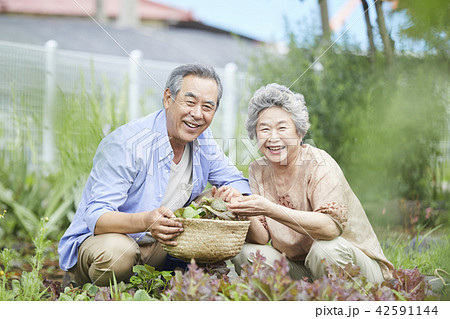 高齢者 老人 夫婦 42591144