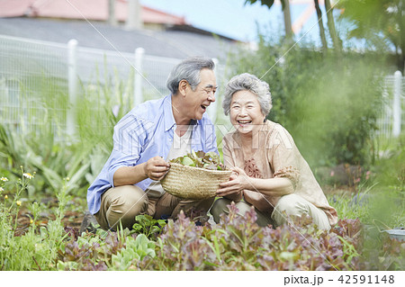高齢者 老人 夫婦 42591148
