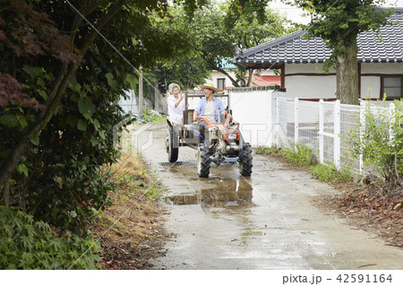 耕運機 高齢者 老人 42591164