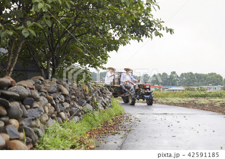 耕運機 高齢者 老人 42591185