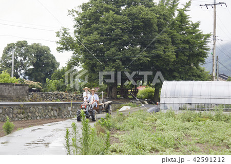 耕運機 高齢者 老人 42591212