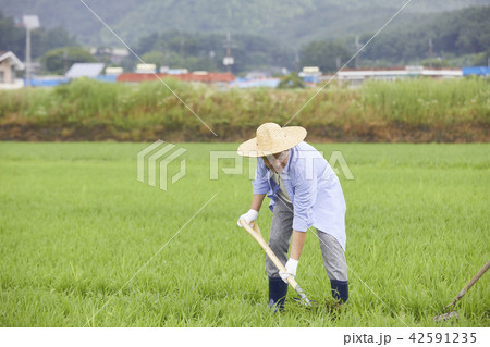 男 男性 男の子 42591235