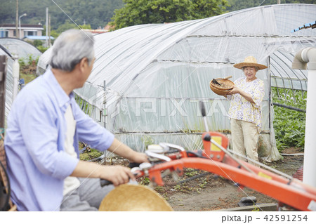 耕運機 高齢者 老人 42591254