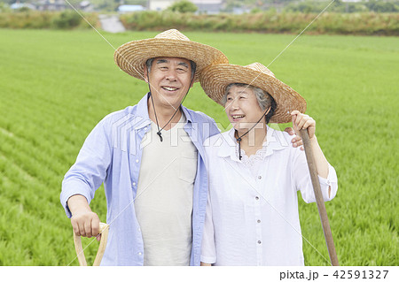 高齢者 老人 田畑 42591327