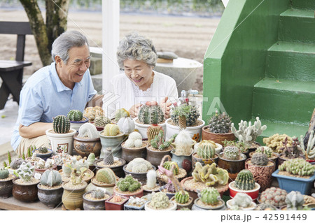 高齢者 老人 夫婦 42591449