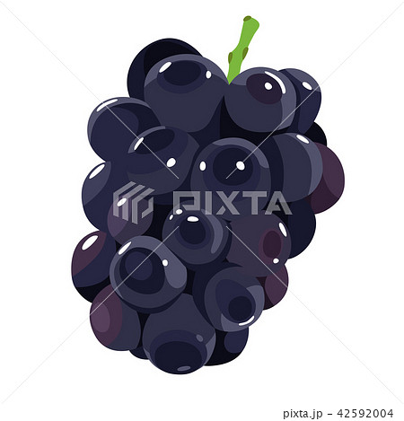 秋が旬のフルーツ ぶどうのイラストのイラスト素材