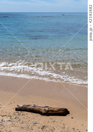 砂浜の流木と海の写真素材